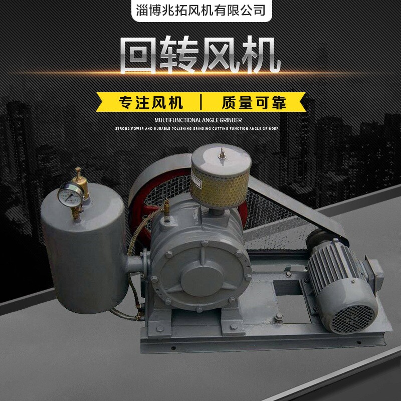 厂家供应回转风机 回转式鼓风机 罗茨风机 多型号