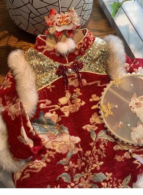 Girls' New Year's Clothing 2025 New Winter Clothing Tang Clo