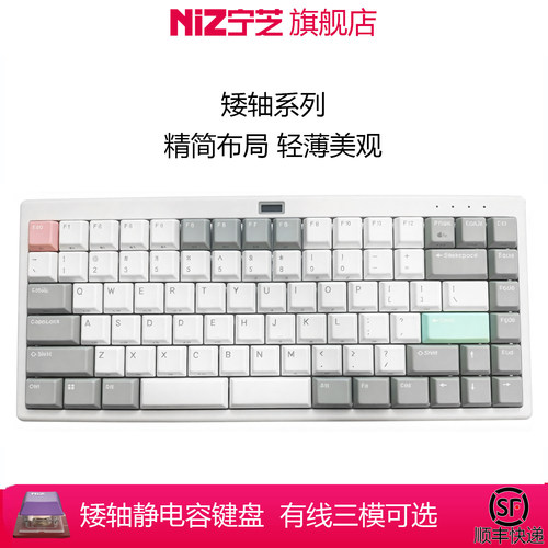 NIZ宁芝矮轴静电容L84L99