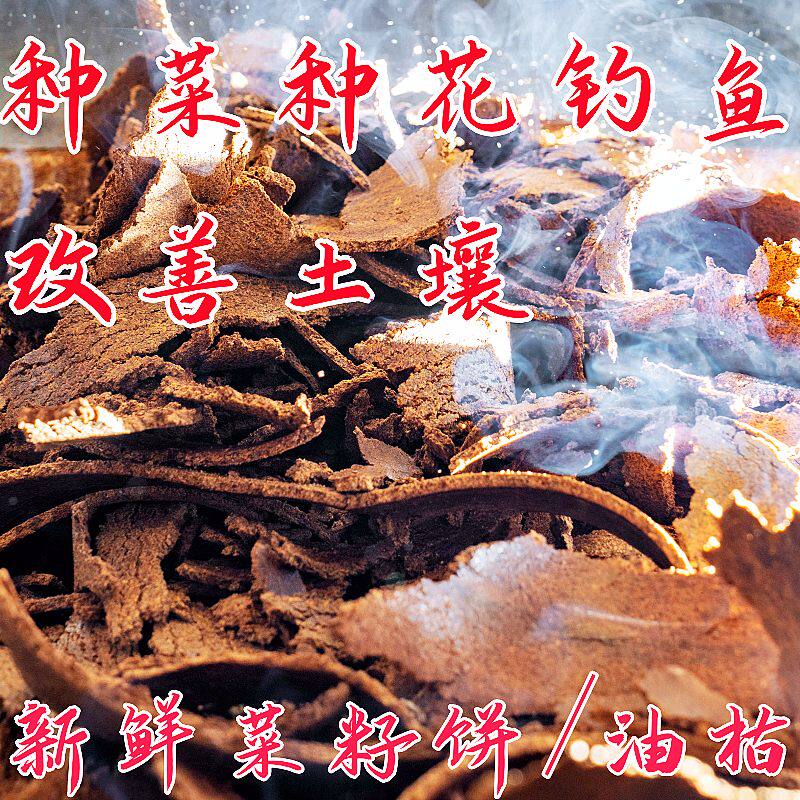 菜籽饼肥料钓鱼打窝农家现榨菜籽油枯饼有机肥营养土粉块种菜种花