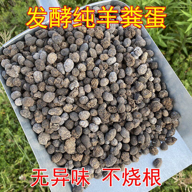 羊粪发酵纯干蛋粒羊屎养