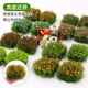 沙盘模型微缩仿真花簇模型植被花卉野外军事火车情景模型杂草材料