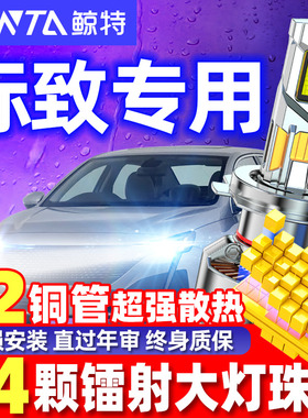 鲸特适用308标致408led大灯3008标志307泡206车灯508改装5008 301