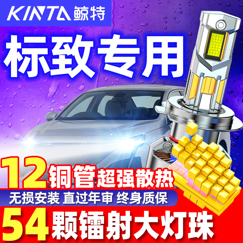 鲸特标致专用安全LED大灯