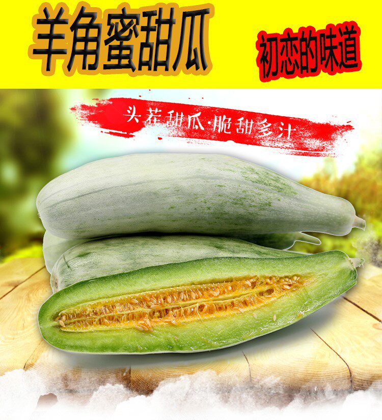 山东特产羊角蜜甜瓜羊角脆蜜瓜小甜瓜小脆瓜当季新鲜博洋61脆甜瓜