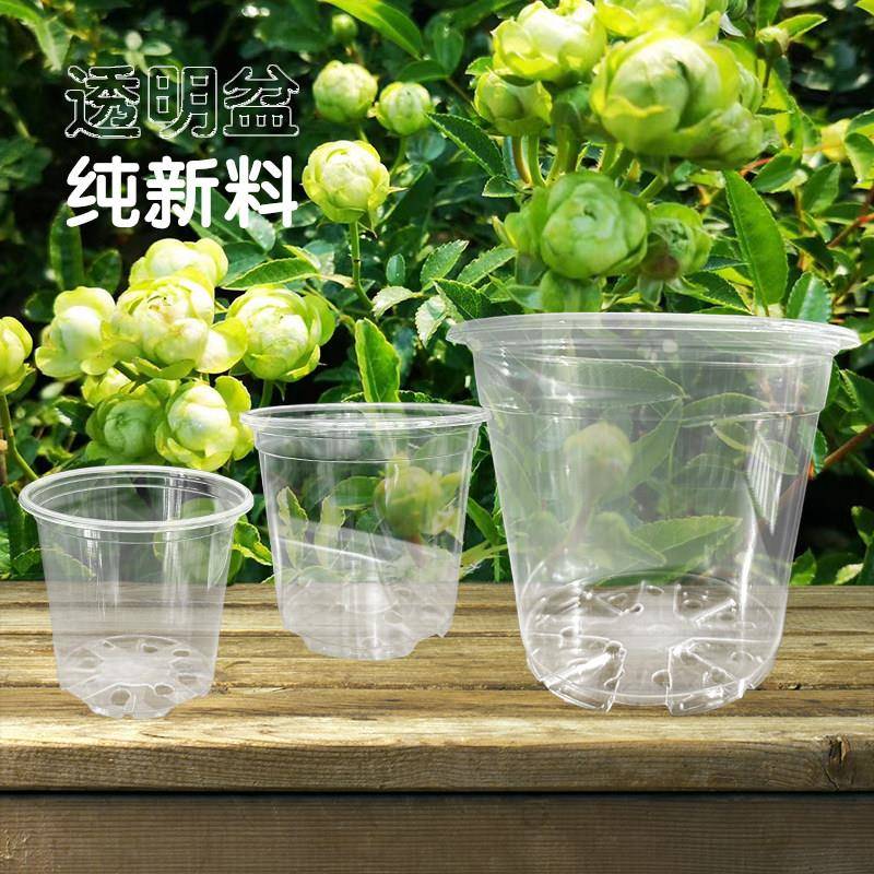 透明塑料花盆育苗盆透视透气控根花盆