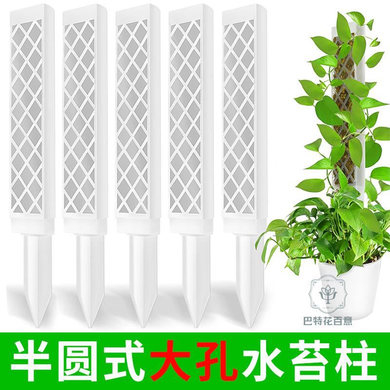新型水苔柱拼接爬藤植物攀爬柱热植蔓绿绒龟背芋黄金葛苔藓柱气生图片