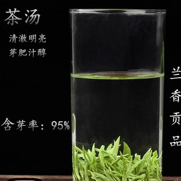 新品2025年新茶试喝不退散茶浮梁毛尖仙芝得雨活茶绿茶白茶