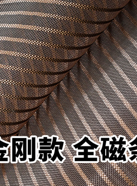 夏季防蚊门帘金刚网纱门全磁条家用大门魔术贴免打孔磁性自吸防蝇