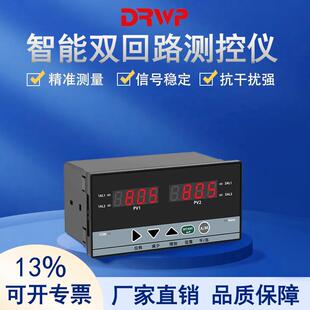 智能双回路测控仪双通道数显报警控制器温度压力液位显示控制器