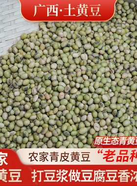 农家自种土黄豆广西农家黄豆绿皮黄豆青皮老品种新黄豆打豆浆专用