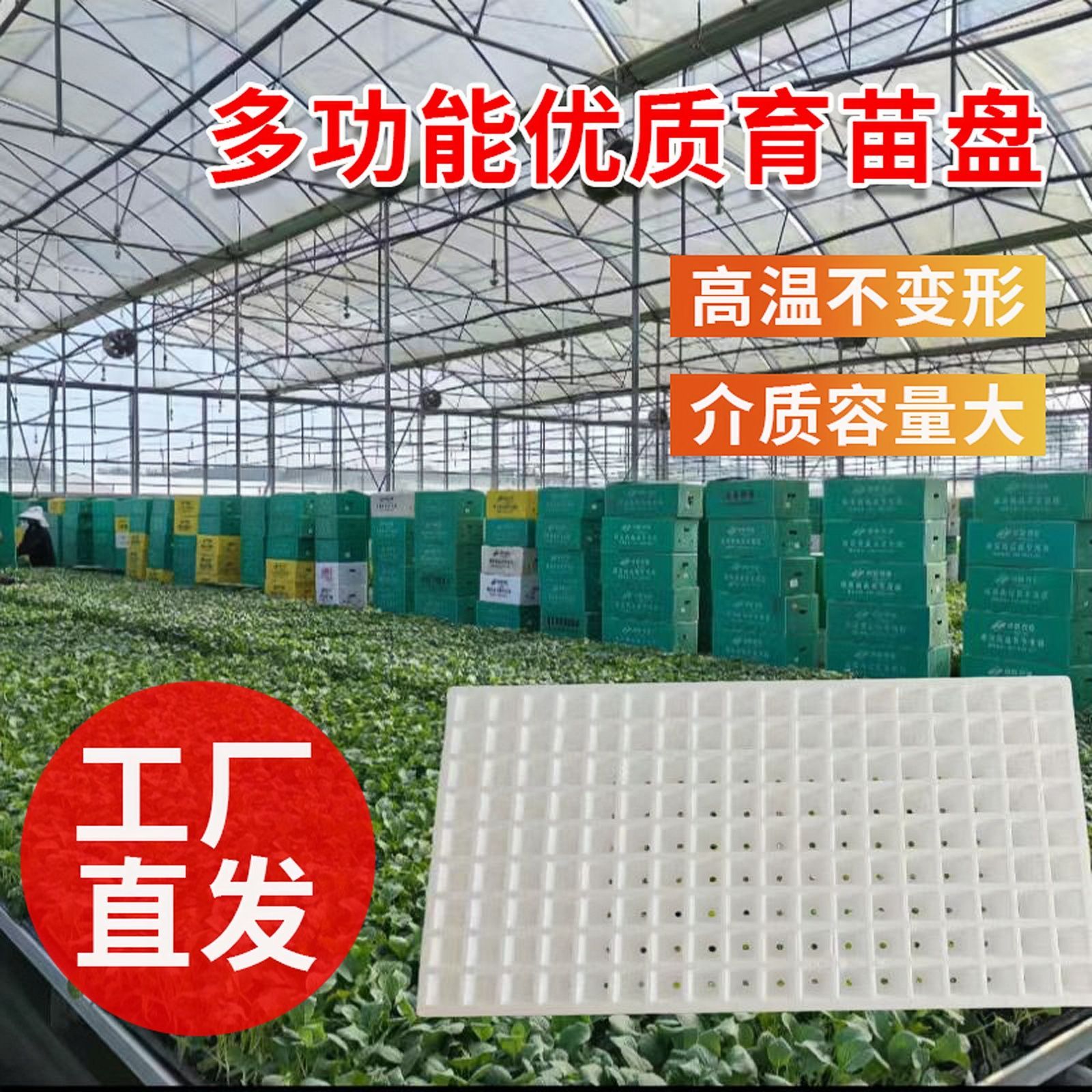 白色泡沫漂浮育苗盘水培烤烟