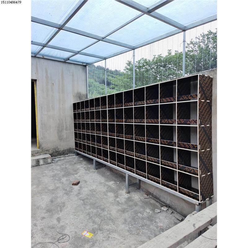 鸽子巢箱-防晒不会变形-鸽子窝拼装-拼装简单一把锤子搞定!