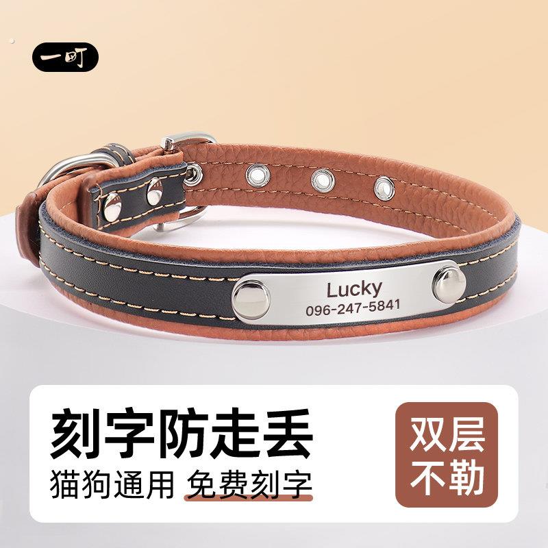 猫咪定制项圈防走失宠物狗狗脖圈猫牌狗牌防丢吊牌小型犬项链铃铛