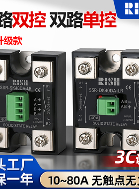 RISH固态继电器双路双控直流控制交流双路单控SSR-SK80DA-LR 60A