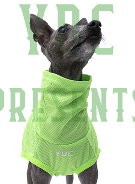 YDC Store意大利小灵缇惠比特贝林顿衣服防晒防蚊虫炸街赛狗背心