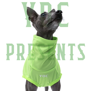 Store意大利小灵缇惠比特贝林顿衣服防晒防蚊虫炸街赛狗背心 YDC