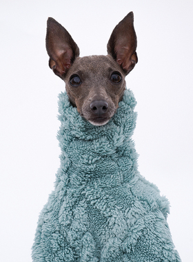 YDCStore意大利小灵缇惠比特贝林顿长绒四脚衣双面绒保暖四脚衣