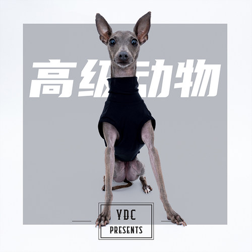 ydcstore意大利小灵运动背心
