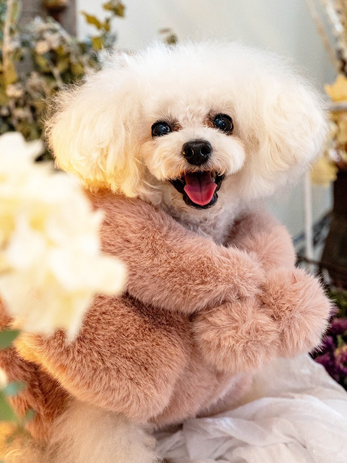 魅意Glamourism日本品牌宠物服装 米拉 毛毛外套 优雅柔软保暖