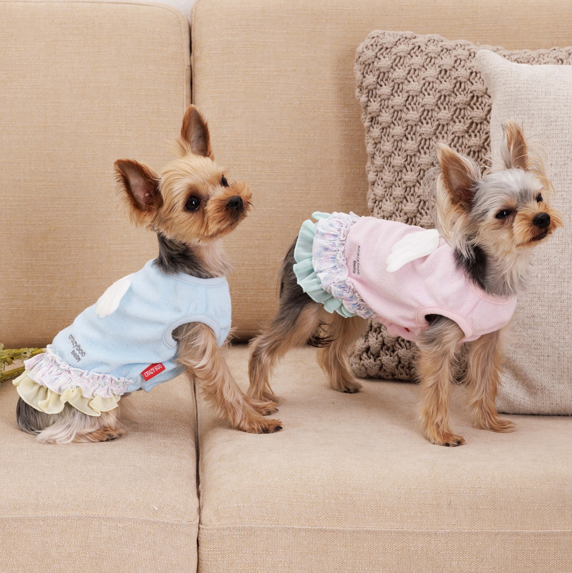 可吉步baby日本宠物服装幼犬天使背心狗猫背心约克夏小奶狗满月礼