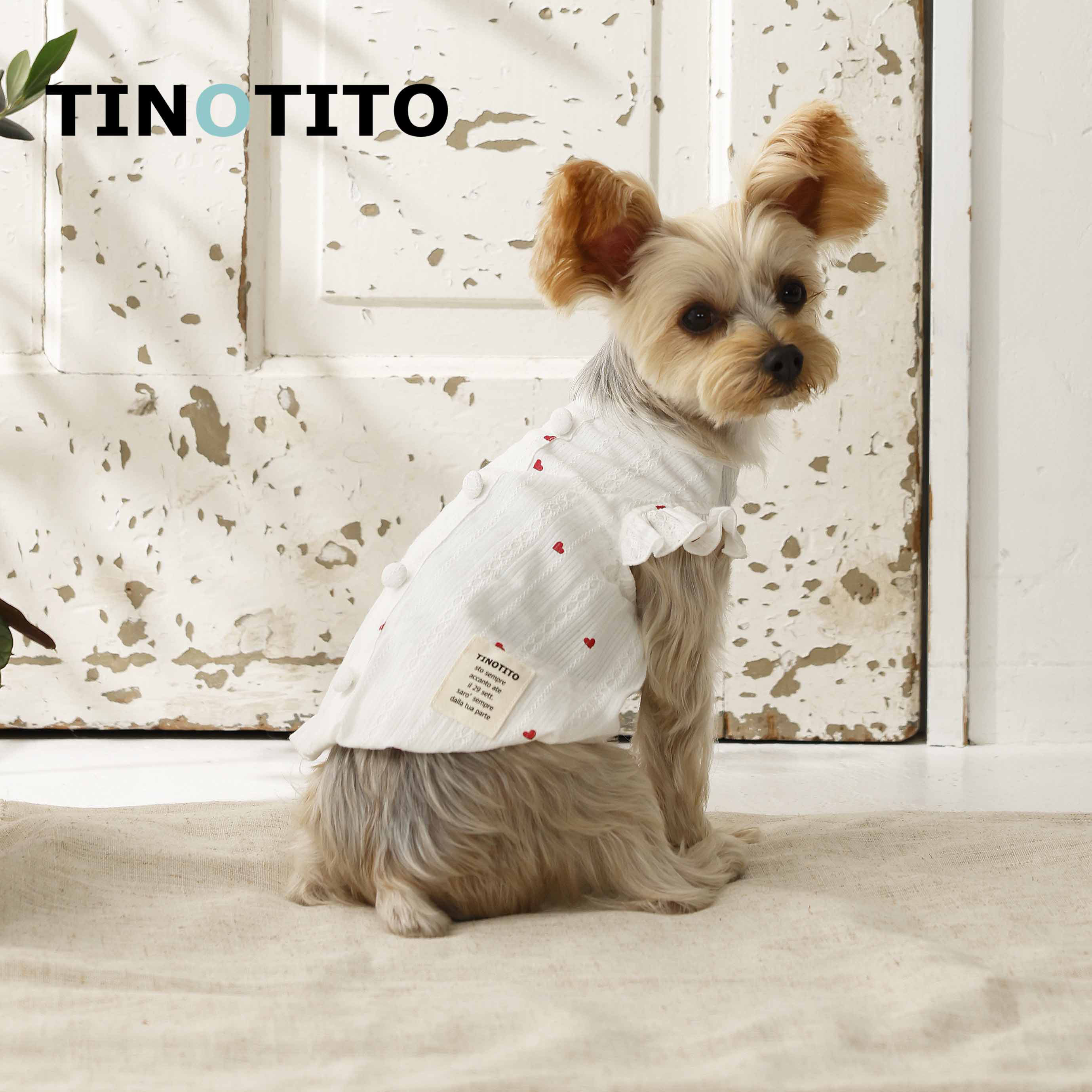 Tinotito 提诺 日本品牌宠物服装春夏 爱心泡泡上衣 薄款小型犬