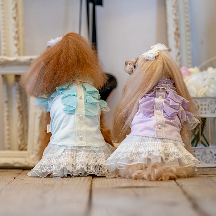 魅意Glamourism日本品牌宠物服装春夏Janet防紫外线机能面料凉感