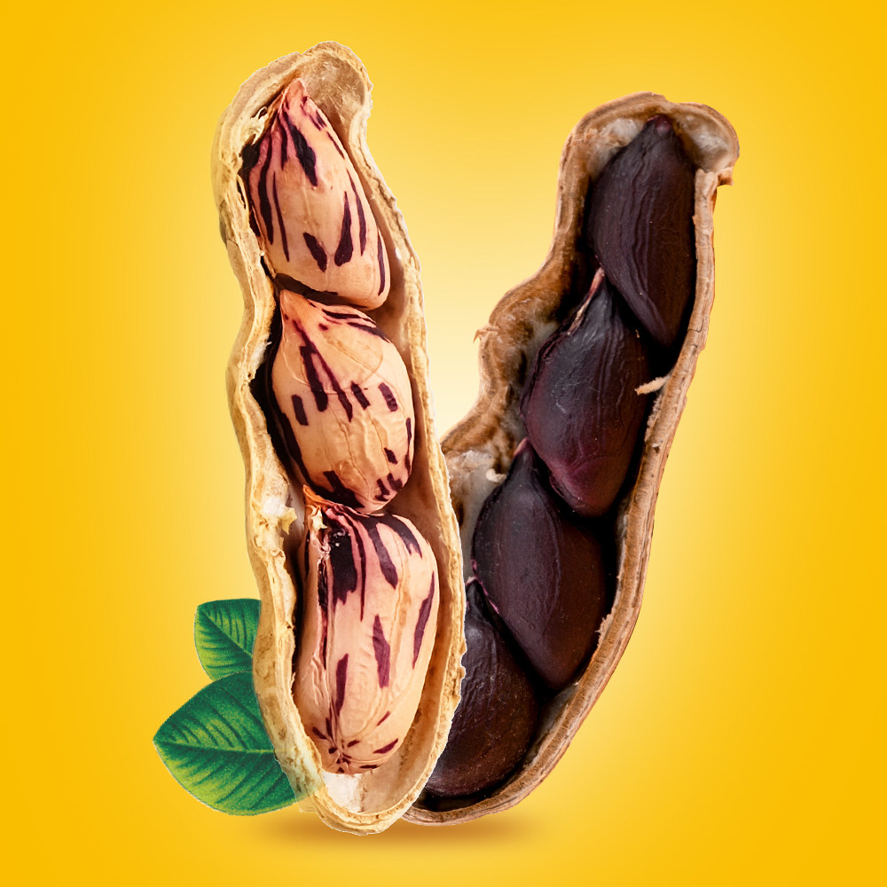 新品云南七彩野地花生带壳花生炒货云南西双版纳特产五彩花生袋装