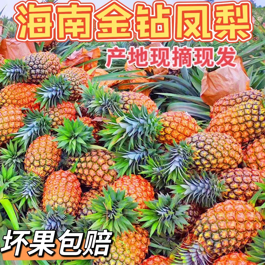 海南金钻凤梨新鲜应当季水果香水大菠萝手撕菠萝无眼整箱5斤包邮|msdalam kategori daging perikanan/Buah-buahan segar dan sayur-sayuran/dimasak, buah-buahan segar, nanas - dari Buy2taobao.com untuk memberikan perkhidmatan ejen Taobao profesional membeli