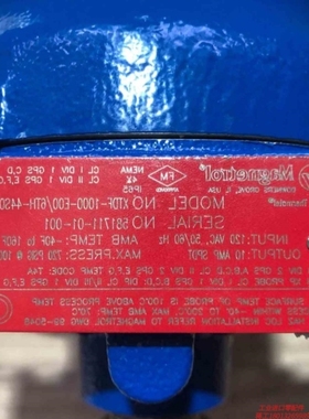 【议价】麦格纳丘Magnetrol液位开关液位计