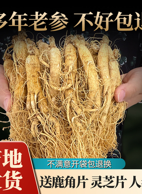 整支生晒参干人参东北人参吉林长白山脉人参新鲜白参干人参可切片