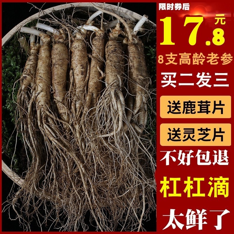 老参500g新鲜人参长白山人参鲜带土参泡酒林生人参东北特产人叁