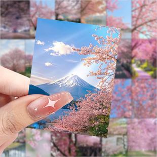 饰手机壳笔记本电脑桌面防水贴画diy 63张樱花贴纸日本旅游风景装