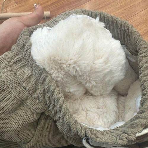 中大童仿兔毛男女童裤子休闲保暖加厚裤休闲裤冬季韩版秋冬外穿