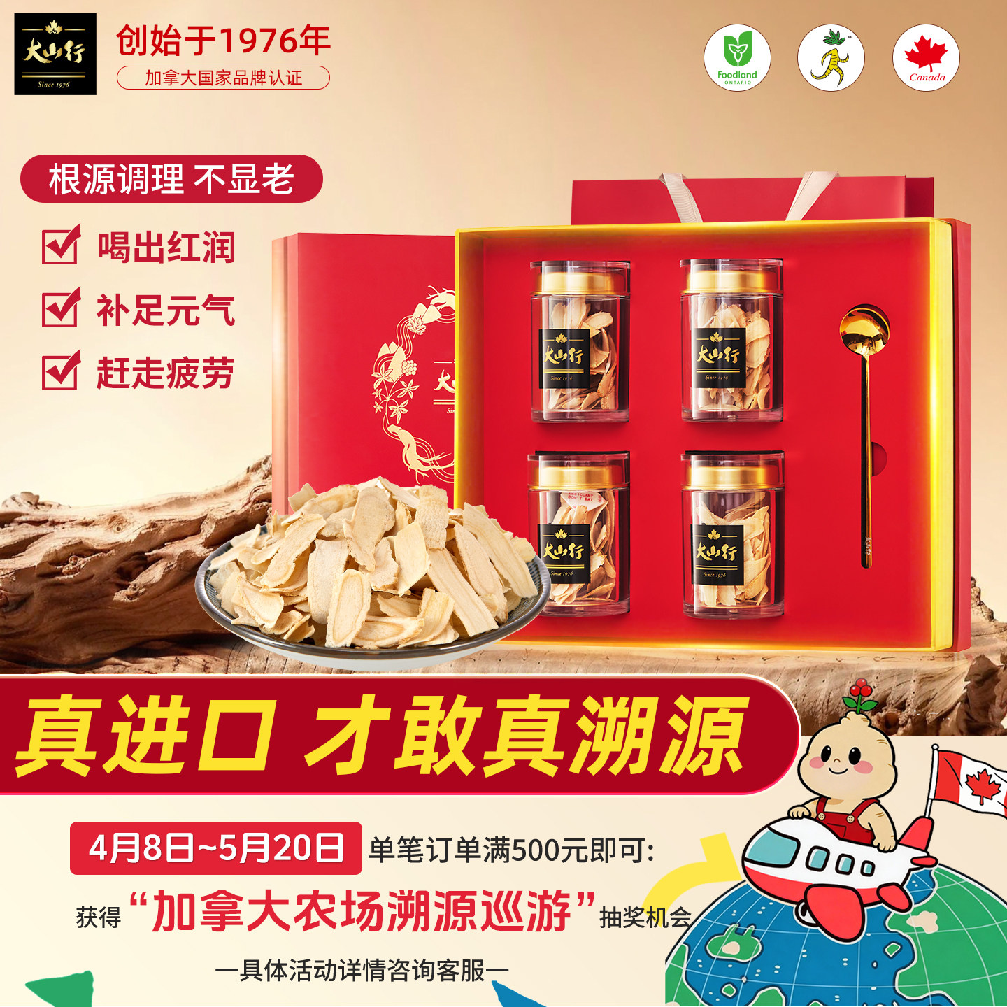 【送父母】加拿大进口大山行西洋参大片礼盒礼品长辈老人更显心意