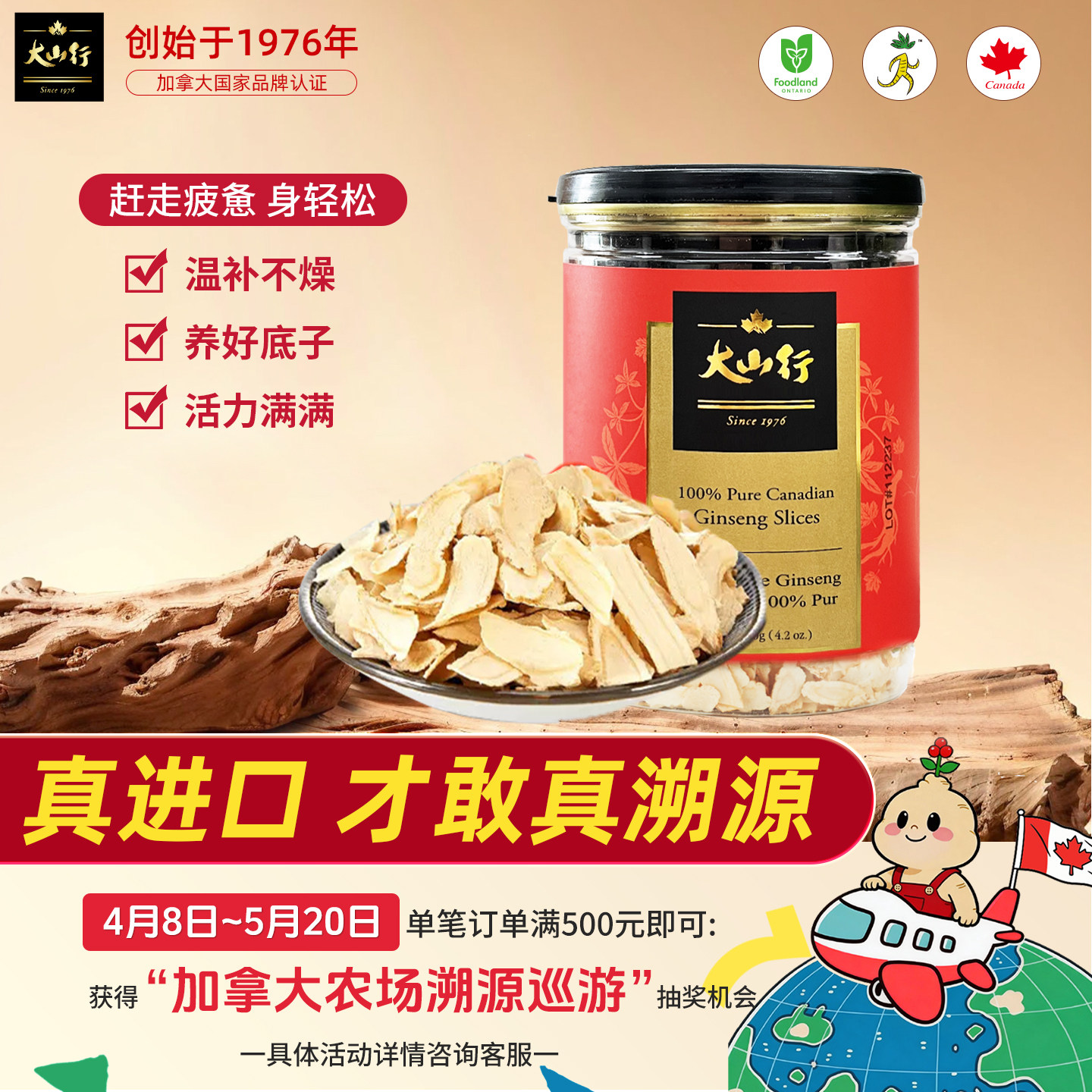 【春季滋补】大山行西洋参整枝切片加拿大进口含片泡茶送父母礼品