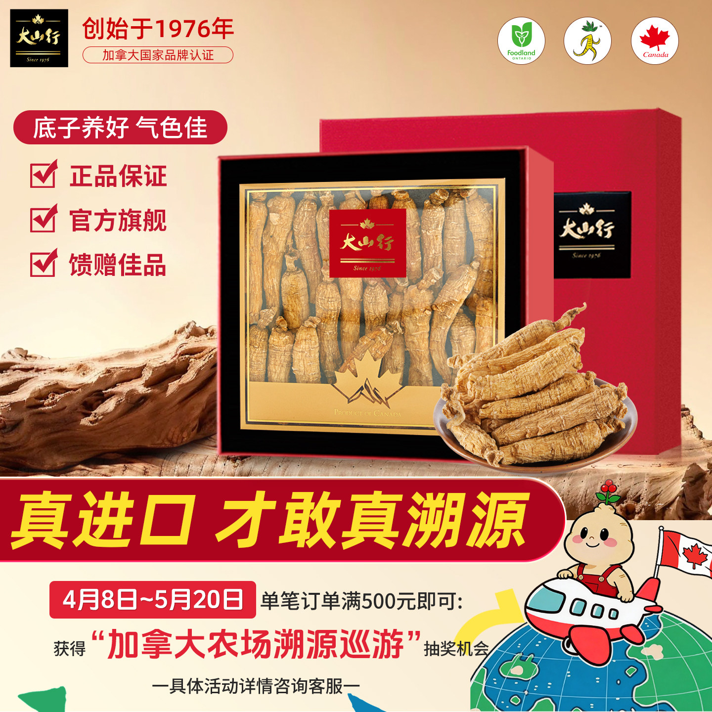 大山行西洋参礼盒原支进口加拿大花旗参整枝礼品国际认证养生滋补