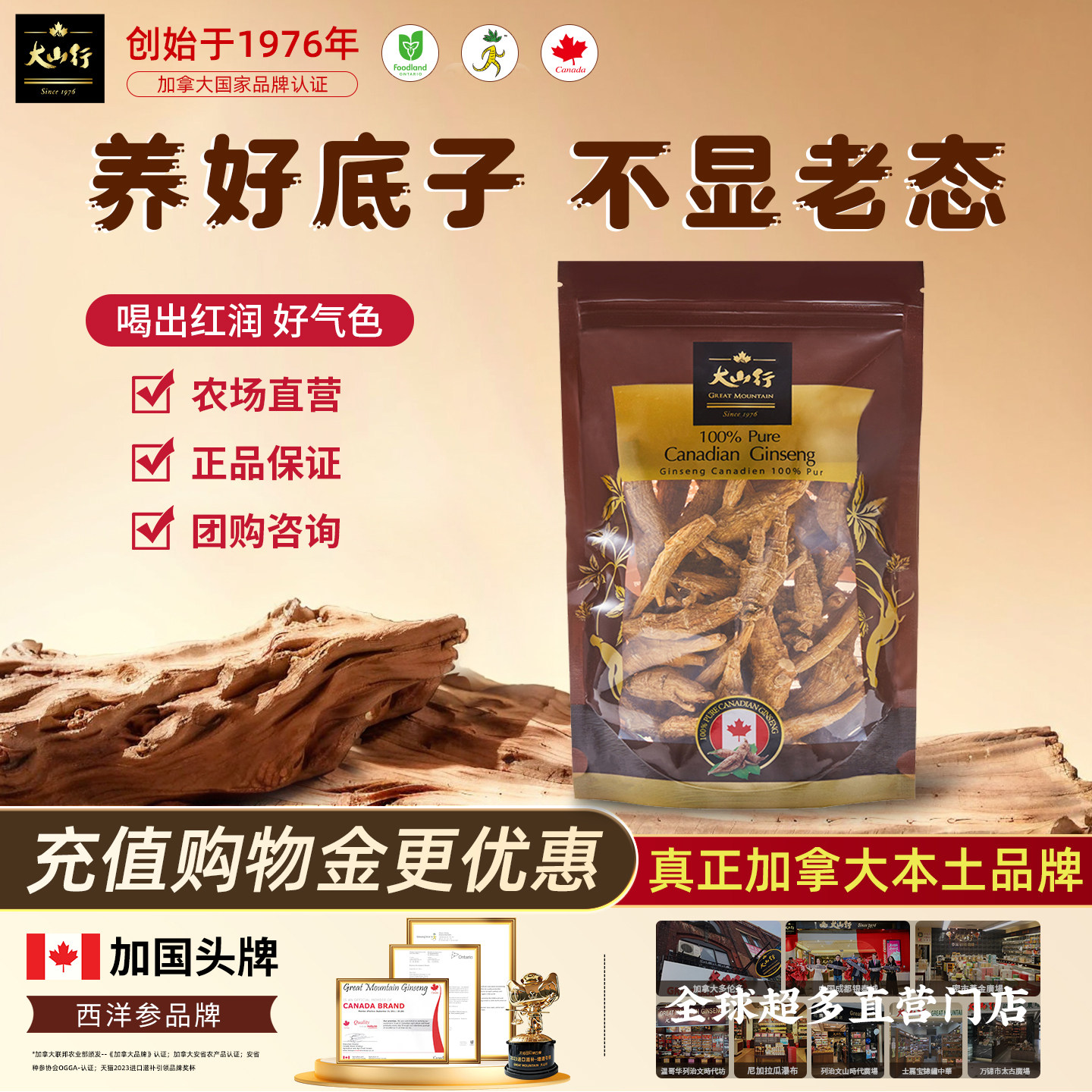 【养生滋补】大山行西洋参