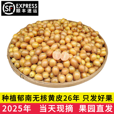 广东郁南无核黄皮孕妇新鲜季节