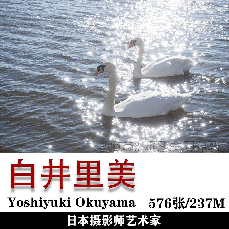 日本摄影师 白井里美 satomishirai 摄影集 摄影作品素材