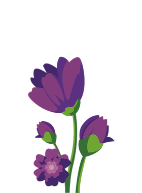 橱窗静电紫色玻璃贴纸