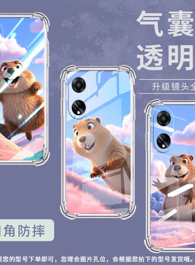 适用OPPOF9手机壳OPPOF9Pro防摔OPPOF11土拨鼠OPPOF11Pro气囊壳OPPOF15四角防摔全包边四角防摔商务保护套