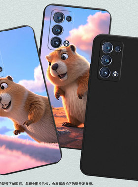 适用OPPOReno6Pro手机壳全包边土拨鼠Reno商务防摔OPPOReno6ProSnapdragon磨砂壳FindX2Neo时尚保护套