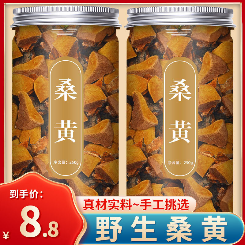 野生桑黄西藏中药材旗舰店500g的功效泡水喝正宗桑树桑黄茶灵芝