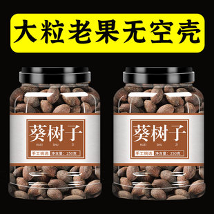 葵树子中药材野生特级干货广西大粒葵树籽老果葵扇籽葵扇籽蒲葵子