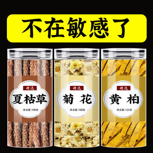 白菊花6克夏枯草6克黄柏3克代茶饮中药材正品野生泡茶泡水喝原料