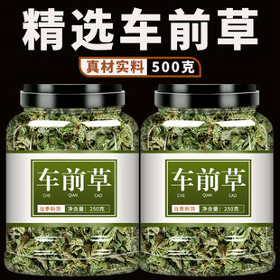 车前草中药材新鲜干货500g官方旗舰店泡茶泡水袋泡茶非野生猫爪草