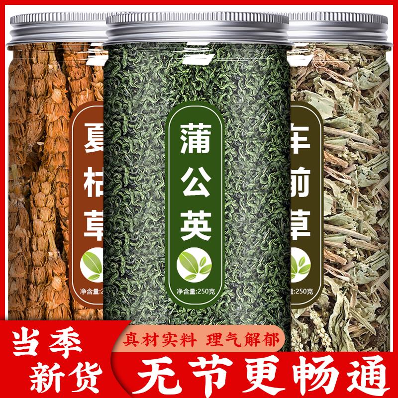 车前草蒲公英夏枯散结茶中