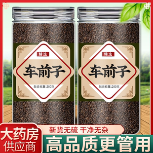 车前子中药材正品500g旗舰店车钱子籽泡水野生车前子的功效与作用