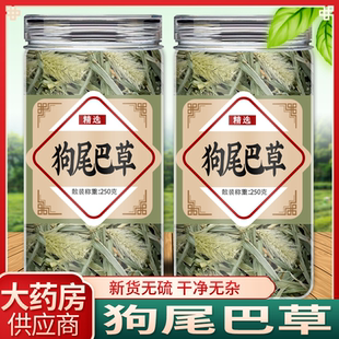 狗尾巴草新鮮中藥材500g狗尾草九尾草點痣干貨毛蟲草泡水喝 功效